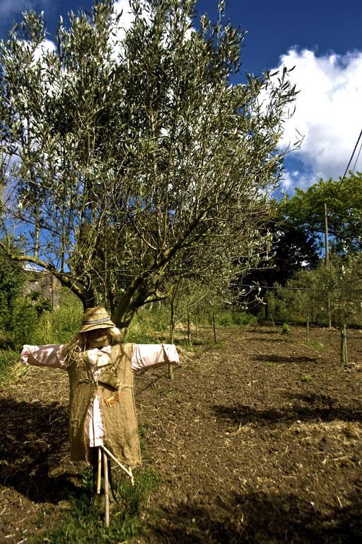 Willa Agriturismo Satanca Arbus Zewnętrze zdjęcie